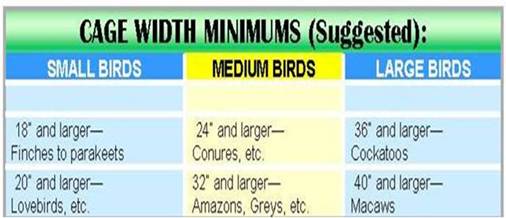 Cage Width Minimums