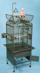 Parrot Cage