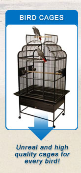 Bird Cages
