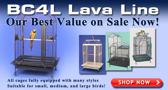 BC4L Lava Line - Our Best Value on Sale Now!