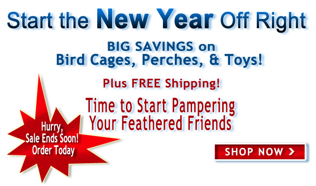 HOLIDAY 2011 SALE!