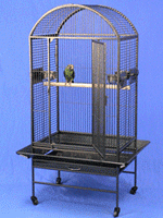 Parrot Cage