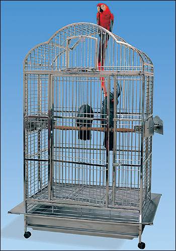 SS CAGE