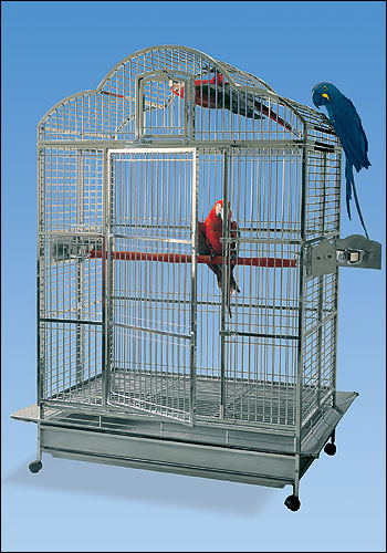 SS CAGE