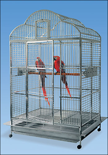 SS CAGE
